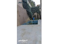 shk-fakhr-aabdon-4nom-2mastr-hdyk-trsat-msbh-ark-mnatk-aabdon-small-0