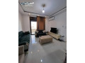 shk-mfrosh-sobr-dyloks-aaalan-rkm-r218-small-2