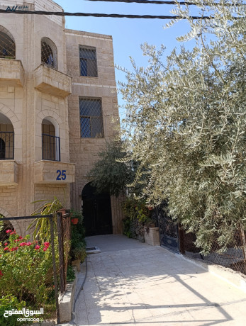 shk-llaygar-fy-alhy-alshrky-gnob-mrkz-alamn-alshrky-mn-almalk-mbashr-big-0