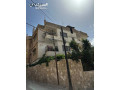 shk-llaygar-fy-alzrkaaa-bganb-mdrs-alamyr-hmz-fy-hy-alamyr-mhmd-mn-almalk-mbashr-small-0