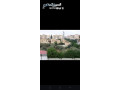 shkh-farghh-llaygar-fy-arbd-mkabl-kr-alatfal-sos-small-0