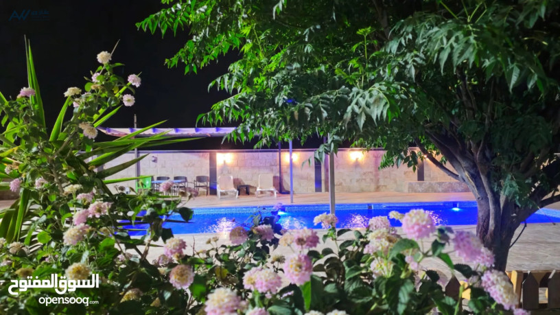 mzraa-oshalyh-shaly-mzaraa-oshalyhat-ard-alzaafran-2025-alzrkaaa-byryn-amkany-akam-alhflat-big-3