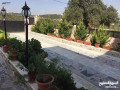 mzraah-oshalyh-aodysa-llaygar-alyomy-alslt-glaaad-dahy-alzhraaa-small-1