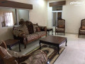 mzraah-oshalyh-aodysa-llaygar-alyomy-alslt-glaaad-dahy-alzhraaa-small-2