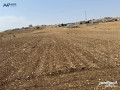 mn-almalk-mbashr-aad-ktaa-arady-mmyz-fy-aydon-hod-alaaoamy-llbyaa-bsaar-mghry-small-1