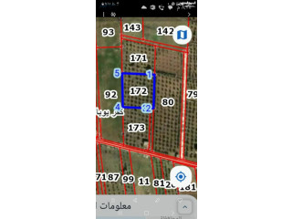 ارض للبيع في منطقة اربد _ كفريوبا _ الغوايب الشمالي