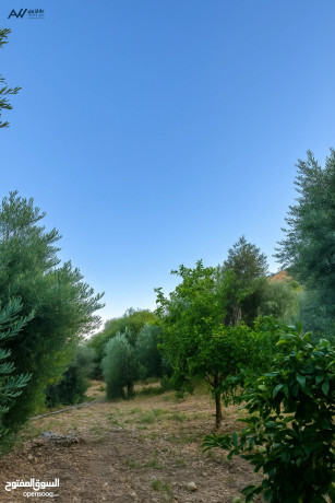 ard-llbyaa-bsaar-mmyz-ard-mtl-aal-sd-oady-kfrng-oaal-mdyn-kfrng-oaal-gbal-mdyn-flstyn-alhbyb-big-1