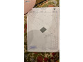 frs-thhby-fy-byryn-ard-astthmary-mbashr-aal-alsharaa-alryysy-bsaar-ayam-zman-small-0