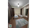 shk-mfrosh-llaygar-gdyd-fy-dyr-ghbar-small-2
