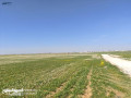ktaa-ard-mmyz-llbyaa-obsaar-mghry-mn-almalk-mbashrh-bdon-ostaaa-small-2