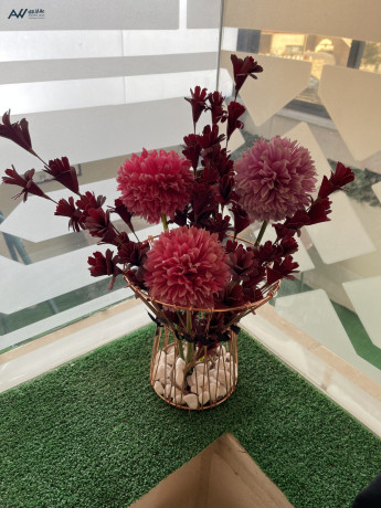 llbyaa-shk-tabk-ardy-albtraoy-algnoby-sharaa-alkram-big-0